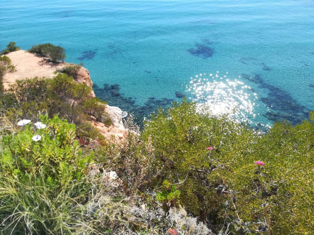 Cabo Roig Bellavista III公寓 外观 照片