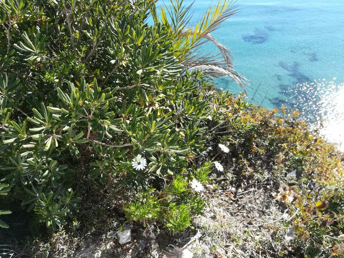 Cabo Roig Bellavista III公寓 外观 照片