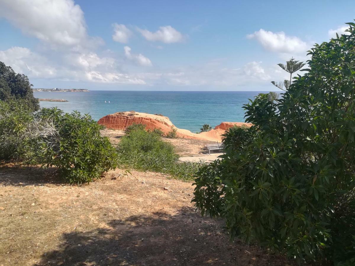 Cabo Roig Bellavista III公寓 外观 照片